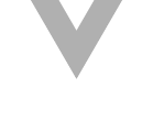 Vue
